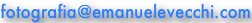 shapeimage_1_link_1